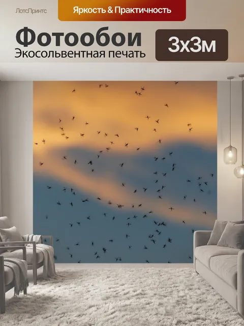 Фотообои Рой комаров