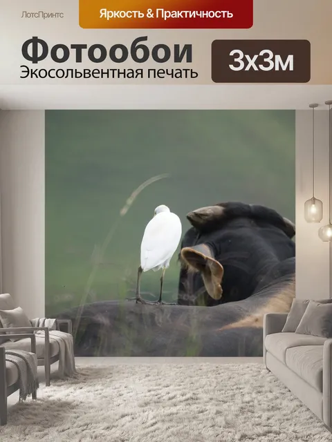 Фотообои Животные