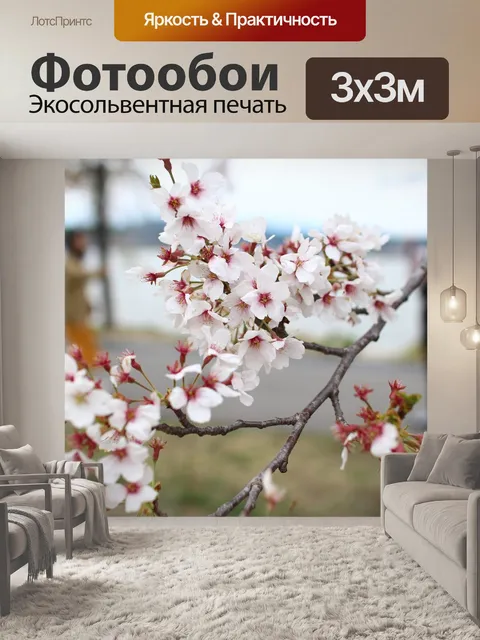 Фотообои Вишни в цвету