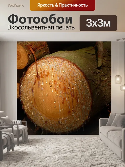 Фотообои Дерево