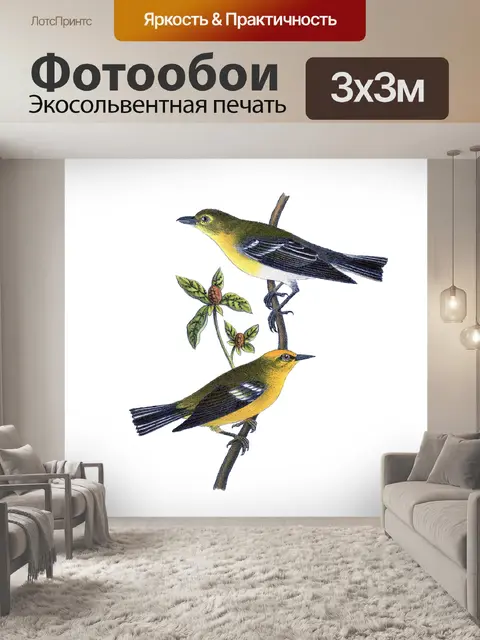 Фотообои Винтажное Искусство Птицы