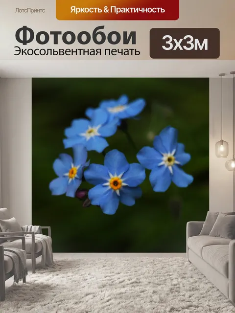 Фотообои Цветы
