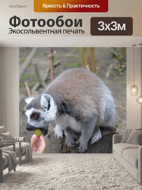 Фотообои Кольцо лемуров 10