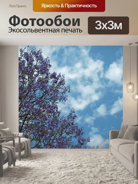 Фотообои фиолетовые цветы Джакаранды на дереве