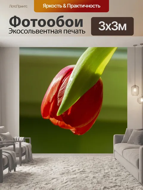 Фотообои Tulnans
