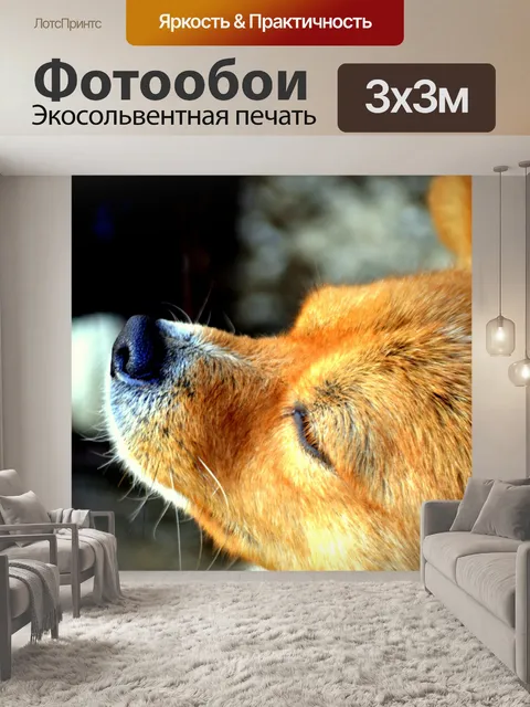 Фотообои I Smell кофе