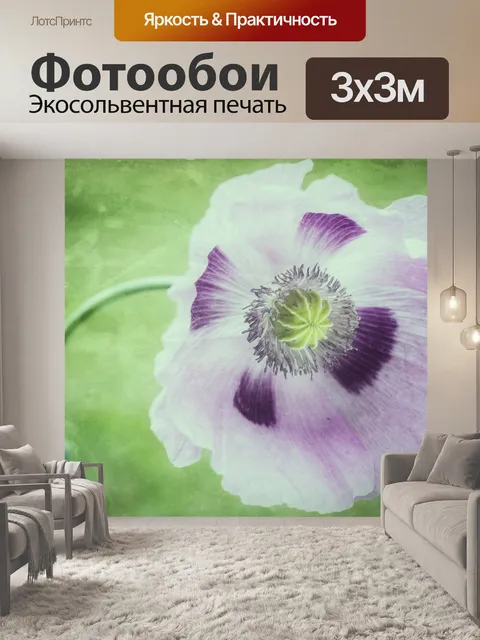 Фотообои Цветок мака цветущий фиолетовый