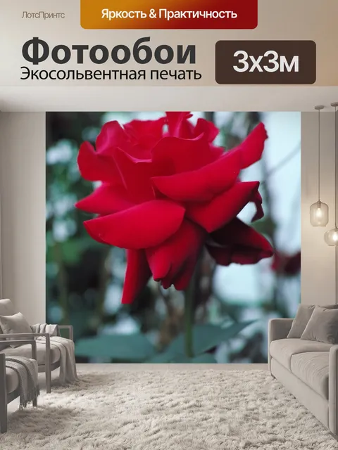 Фотообои Красный