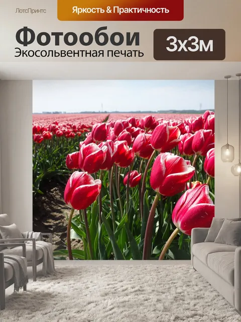 Фотообои Тюльпаны