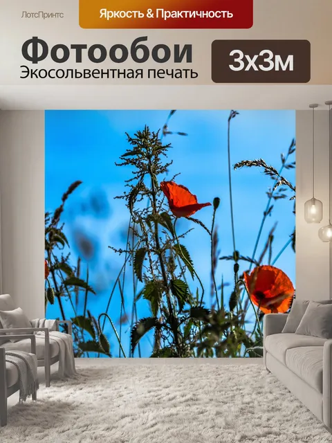 Фотообои Цветы