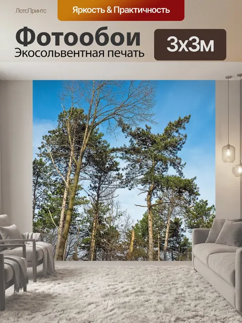 Фотообои Деревья
