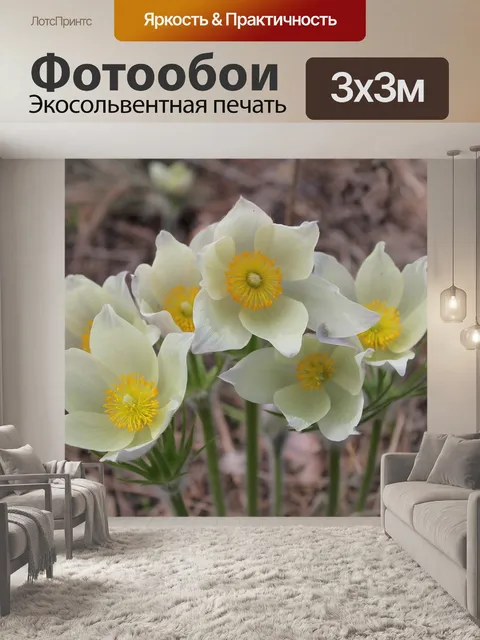 Фотообои Прострел