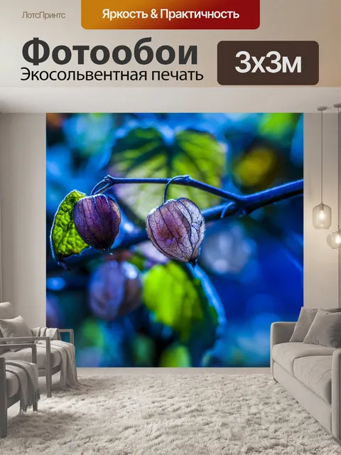 Фотообои Держатели сухой