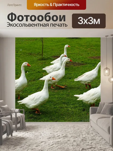 Фотообои Гуси