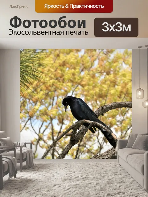 Фотообои Великхвостый гракл в дереве