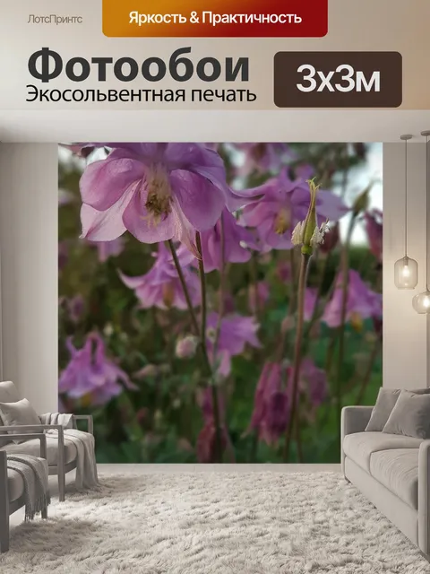 Фотообои Цветы