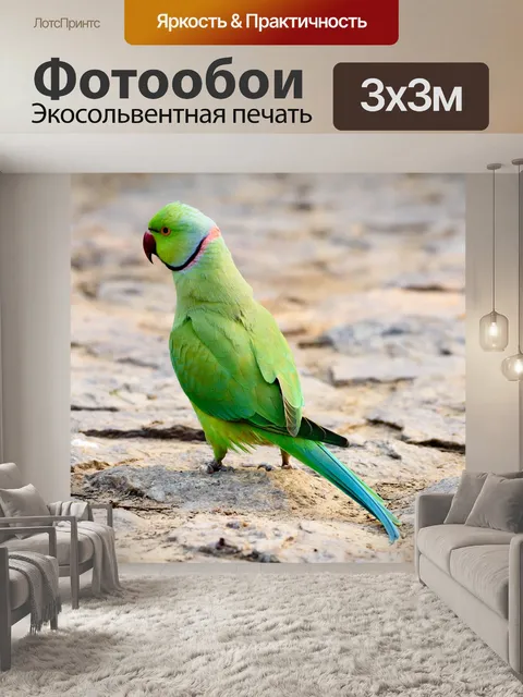 Фотообои Птица