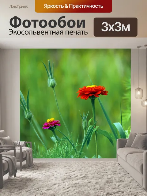 Фотообои Дикие луговые цветы цветущие полевые цве
