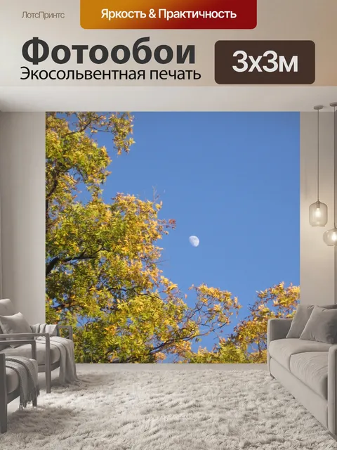 Фотообои Осенний вечер Луны