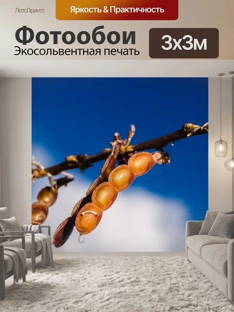 Фотообои Трава цветочное поле, полевые цветы