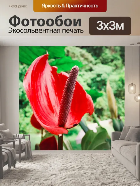 Фотообои Флора