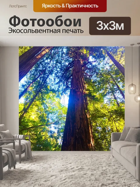 Фотообои Лес