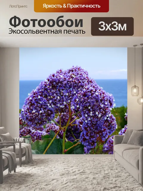 Фотообои Статицы