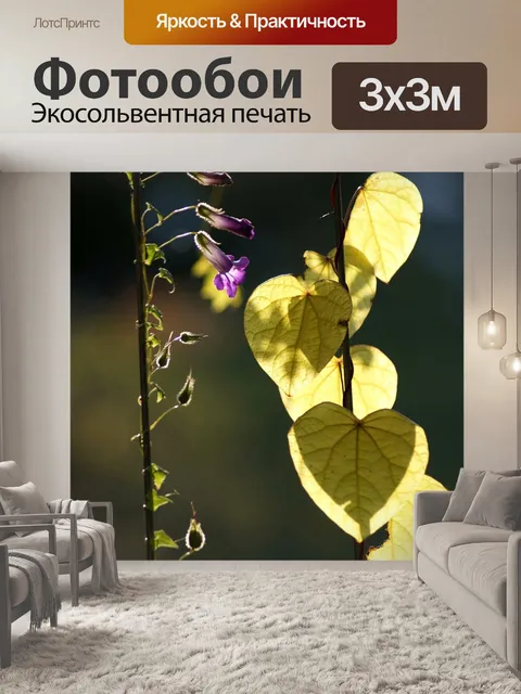 Фотообои Листья