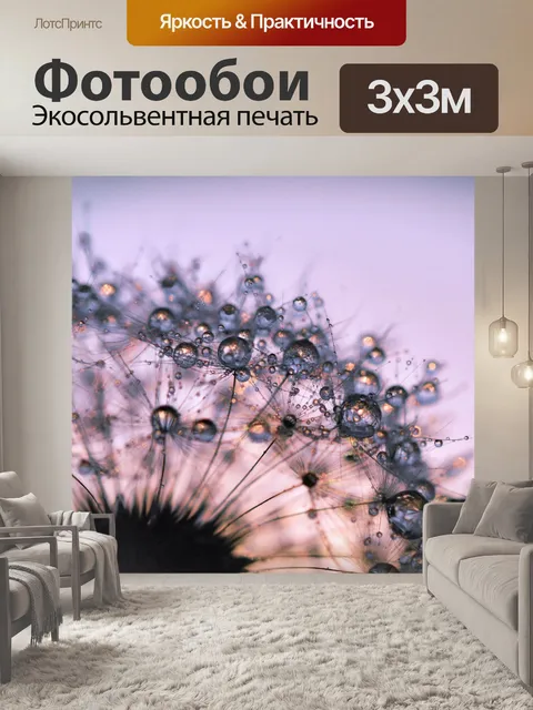Фотообои Одуванчик Блум полевой природы