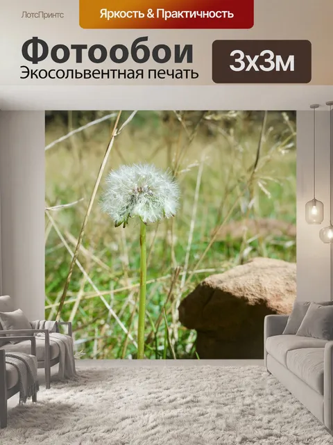 Фотообои Одуванчик Блум