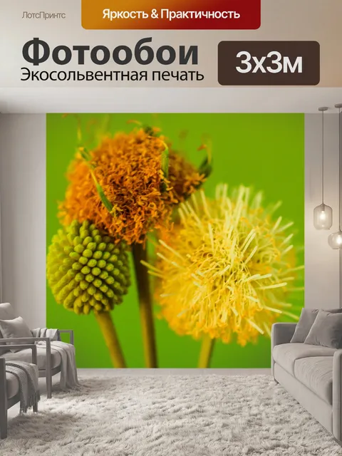 Фотообои Зеленое семя Белый цветок попинака
