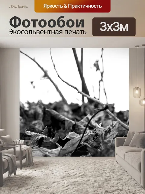 Фотообои Листы