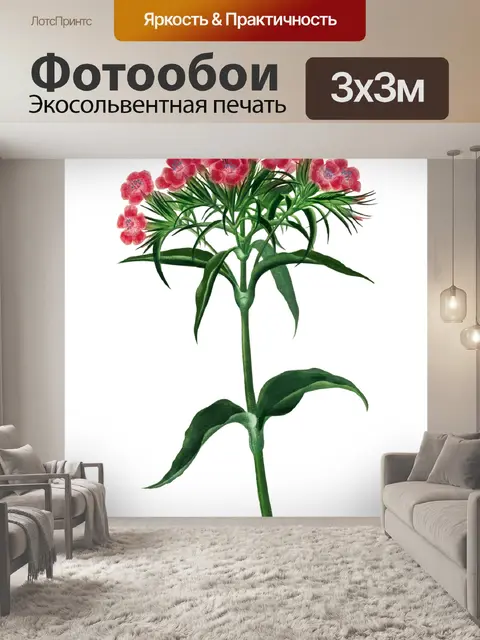 Фотообои Клипарт Flowers art vintage