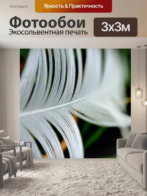Фотообои перо - макро
