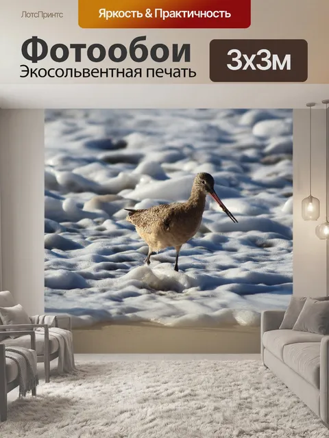 Фотообои Мраморный богинец