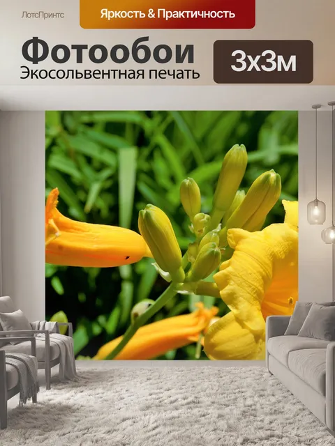 Фотообои Цветы