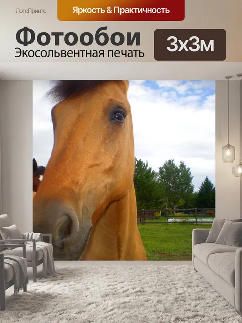 Фотообои Браун лошадь