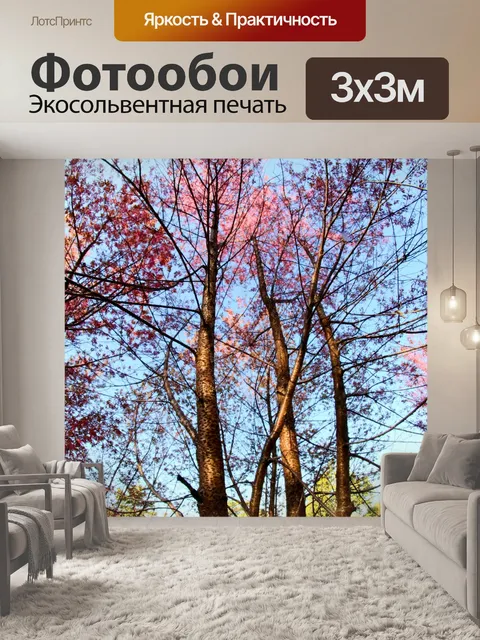 Фотообои Prunus cerasoides, дикая гималайская виш