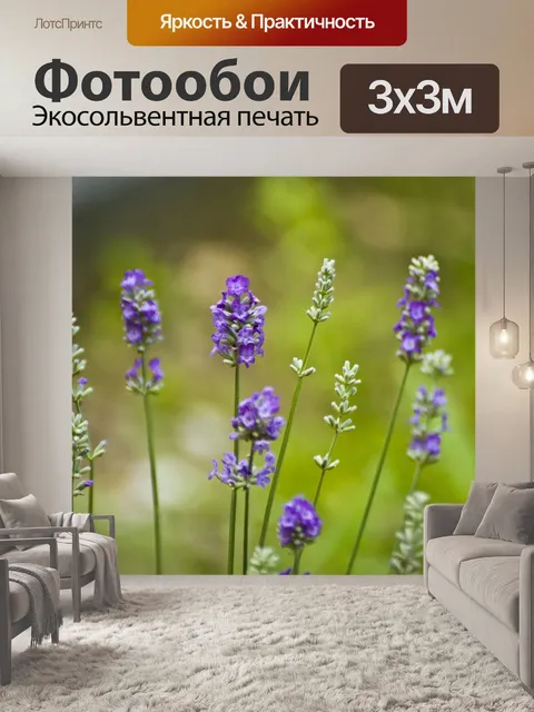 Фотообои Цветы