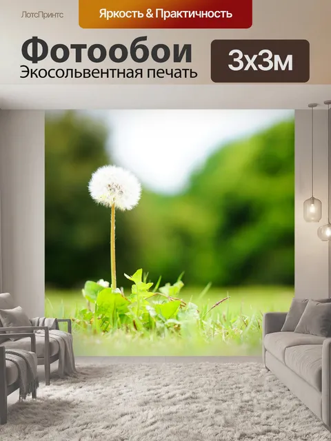 Фотообои Одуванчик
