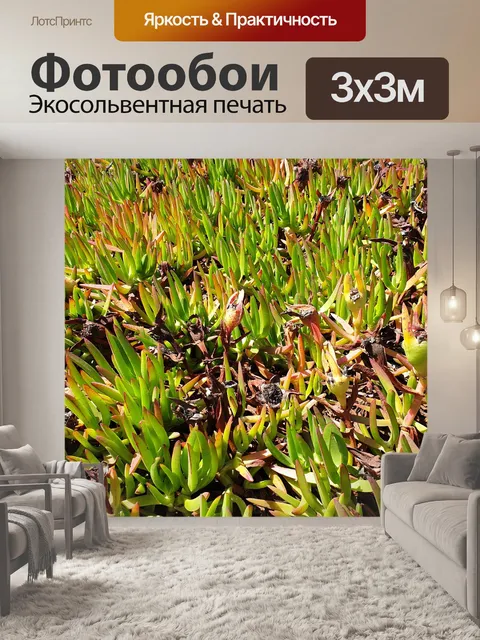Фотообои Природа