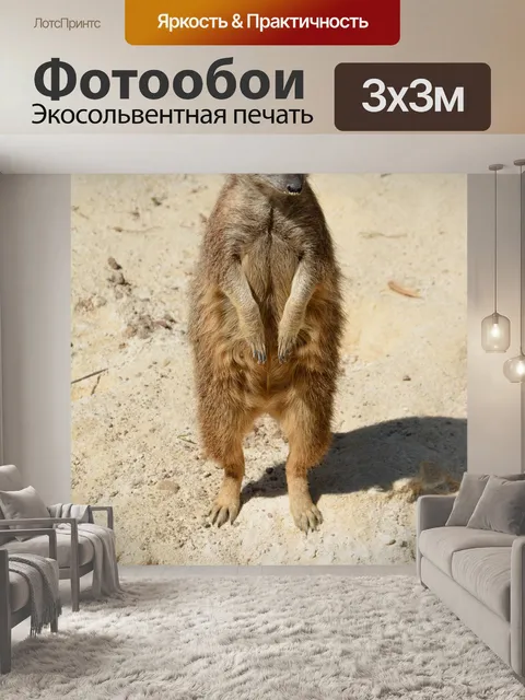 Фотообои Животные