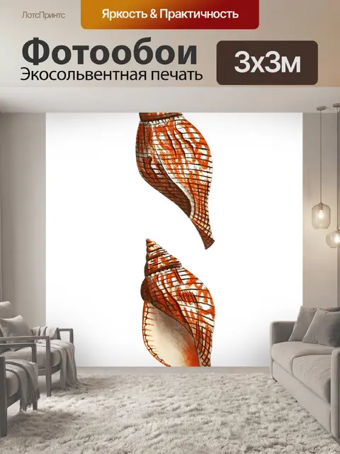 Фотообои Ракушка старинное искусство старый