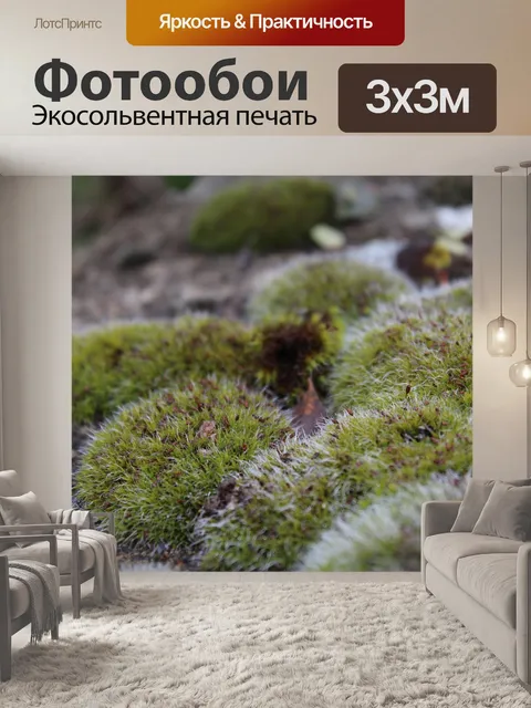 Фотообои Мох