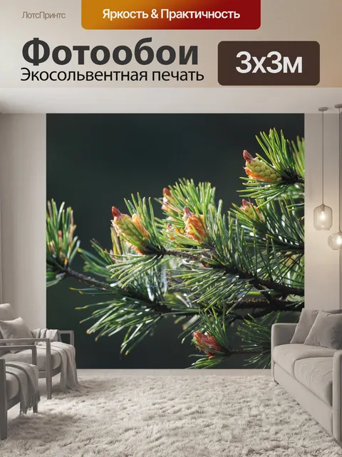 Фотообои Сосна