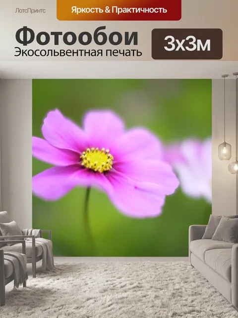 Фотообои Космос