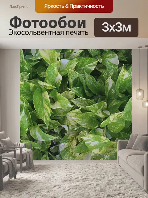 Фотообои Деревья и листья 19