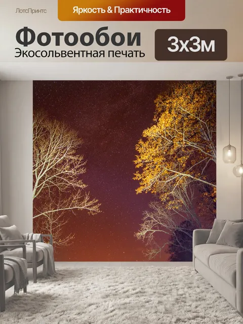 Фотообои Ночь