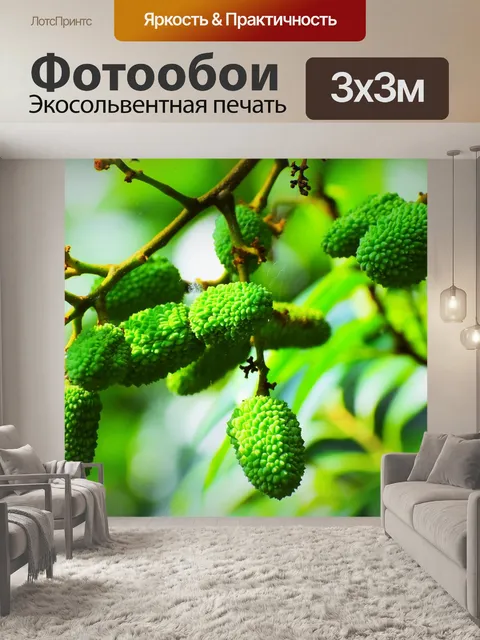 Фотообои Фрукты