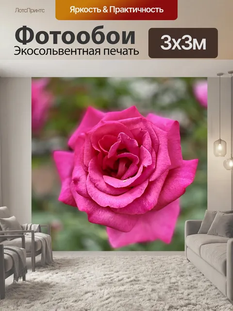 Фотообои Розы